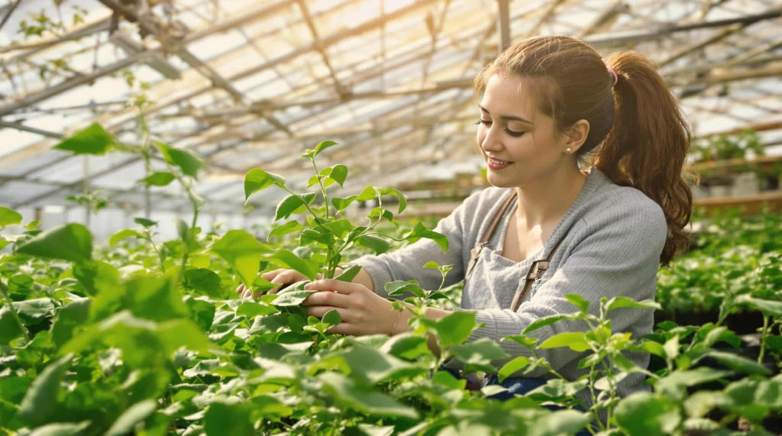 Woman tending to plants in a greenhouse